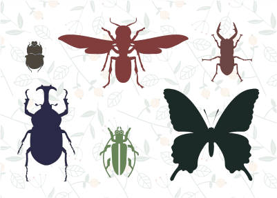 Insects