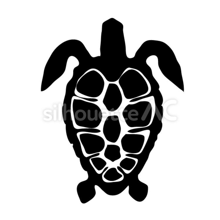 turtle, turtle, squirrel, an illustration, JPEG, SVG, PNG and EPS