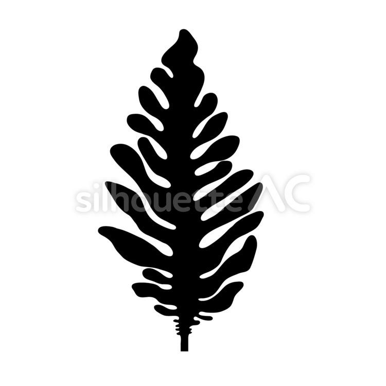 Seaweed, up, an illustration, close-up, JPEG, SVG, PNG and EPS