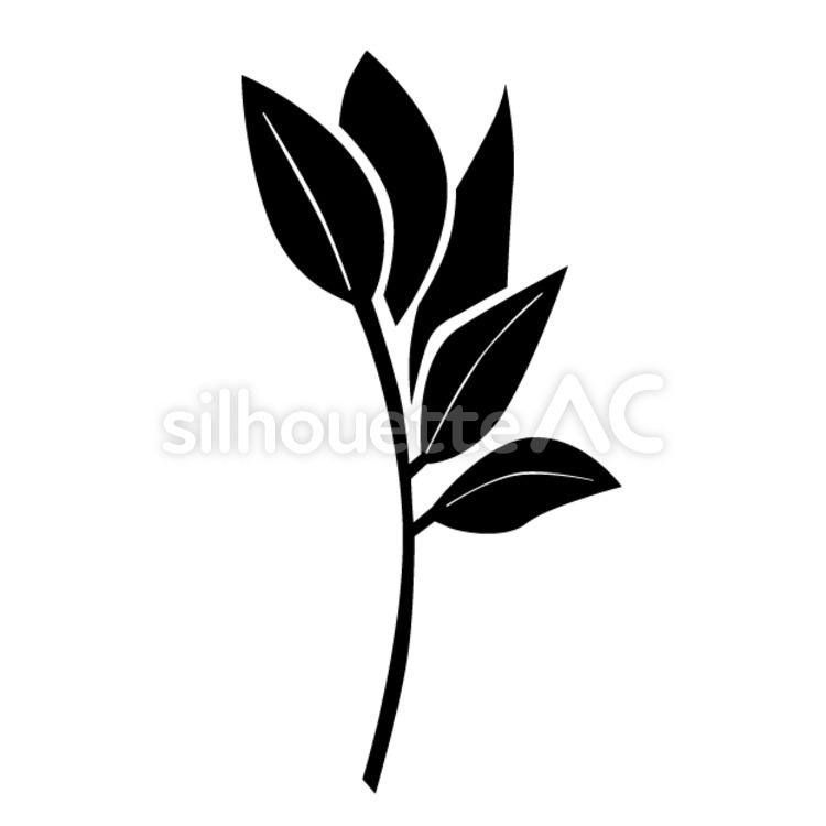 plant, an illustration, silhouette, extend, JPEG, SVG, PNG and EPS
